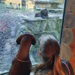 Ersteller:in Lena Profilbild