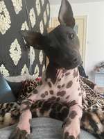 Gibt es noch weitere AHT's in HH...???-Beitrag-Bild