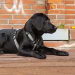 Ersteller:in Britta Profilbild