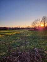 Hundeauslaufgebiet-Ruhrweg-Bild