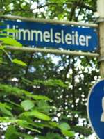 Hundeauslaufgebiet-Hölterwald-Bild