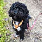 Ersteller:in Lisa Profilbild