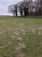 Hundeauslaufgebiet-Hariksee-Bild