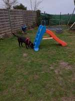 Hundeauslaufgebiet-Hariksee-Bild