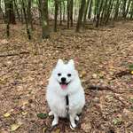 Ersteller:in Alina Profilbild