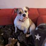 Ersteller:in Clara Profilbild