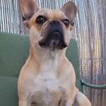 Ersteller:in Tina Profilbild