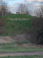 Hundeauslaufgebiet-Saulheimer Bach-Bild