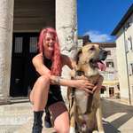 Ersteller:in Andrea Profilbild