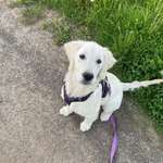 Ersteller:in Janika Profilbild