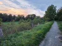 Hundeauslaufgebiet-Warteberg-Bild