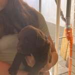 Ersteller:in Simone Profilbild