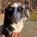 Ersteller:in Alina Profilbild