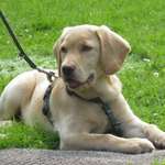 Ersteller:in Lotta Profilbild