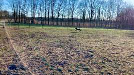 Hundeauslaufgebiet-Maiglerwiese Brühl-Bild