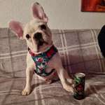 Ersteller:in Marco Profilbild