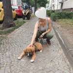 Ersteller:in Celina 🇵🇱🥵 Profilbild