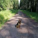 Ersteller:in Dominik Profilbild