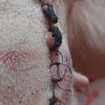 Wundpflege nach Kastration-Beitrag-Bild