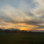 Hundeauslaufgebiet-Panzerwiese-Bild