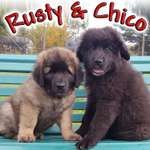 Ersteller:in Stefan Profilbild