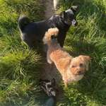 Ersteller:in Christiane Profilbild