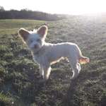 Ersteller:in Annika Profilbild