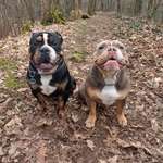 Ersteller:in Tamara Profilbild