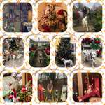 1. Special Event Collagen Fotowettbewerb 
Alles vom 1. Advent bis zu den Heiligen Drei Königen-Beitrag-Bild