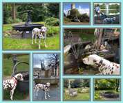57. Foto Collage Challenge
Brunnen-Beitrag-Bild