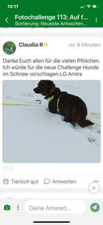 Foto Challenge Nr.: 114
Hunde im Schnee-Beitrag-Bild