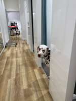 Impulskontrolle Challenge Nr.: 7
         "Gesellschaftsfähig"-Beitrag-Bild