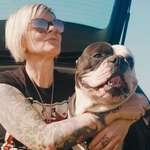 Ersteller:in Dorit Profilbild