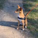 Ersteller:in Barbara & Profilbild