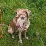 Ersteller:in Nane Profilbild