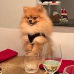 Ersteller:in Jessica Profilbild