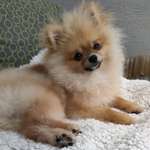 Ersteller:in Jessica Profilbild