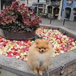 Ersteller:in Jessica Profilbild