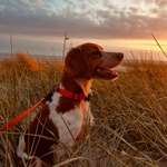 Ersteller:in Larissa Profilbild