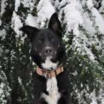 Ersteller:in Mariele Profilbild