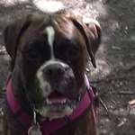 Ersteller:in Marion Profilbild