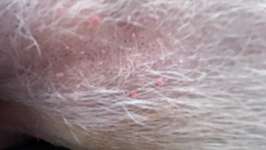 Weiß nicht was das ist-Beitrag-Bild