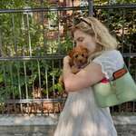 Ersteller:in Sophie-Marie Profilbild