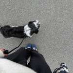 Ersteller:in Shana Profilbild
