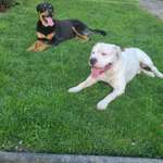 Ersteller:in Nessa Profilbild