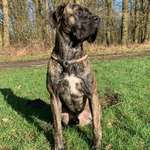 Ersteller:in Jessica Profilbild