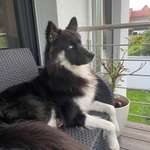 Ersteller:in Sabrina Profilbild