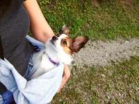 Ersteller:in Lucy Profilbild