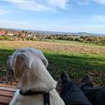 Ersteller:in Nico Profilbild