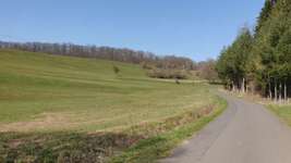 Hundeauslaufgebiet-Wald bei Himmelsberg / Kirchhain-Bild